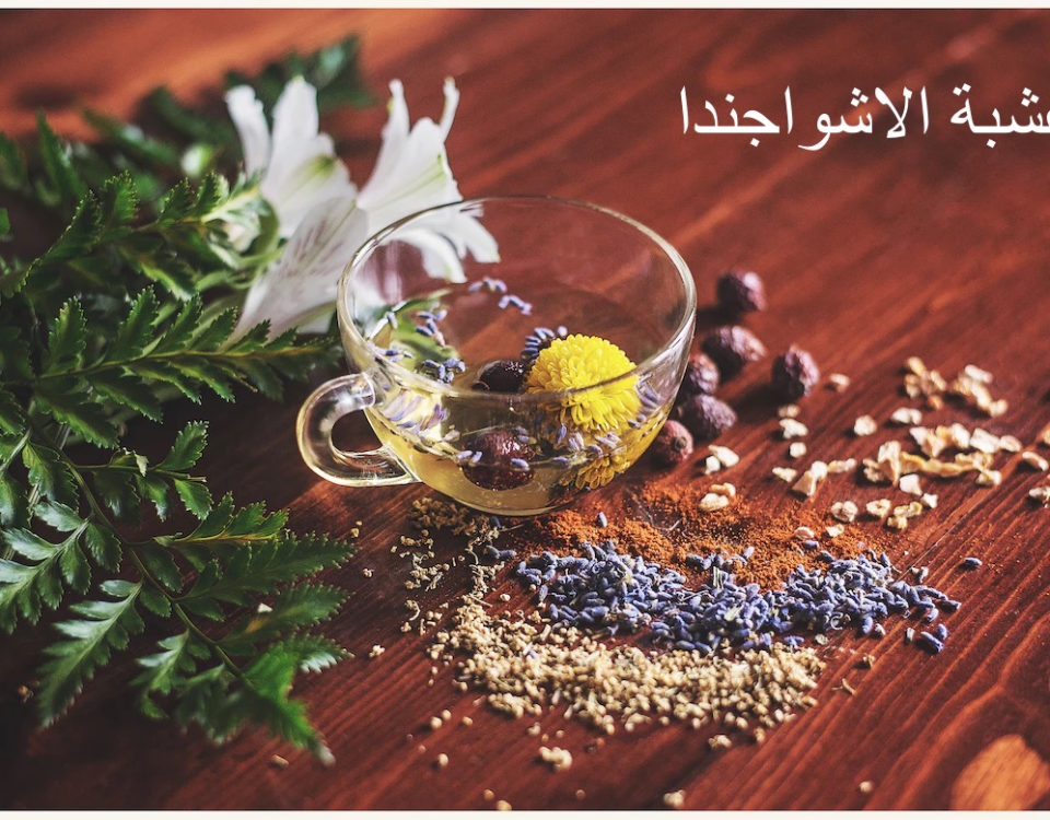 عشبة الاشواجندا