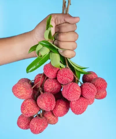 فوائد فاكهة الليتشي للرجال